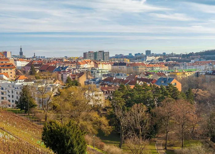 Sunny Luxury Grebovka