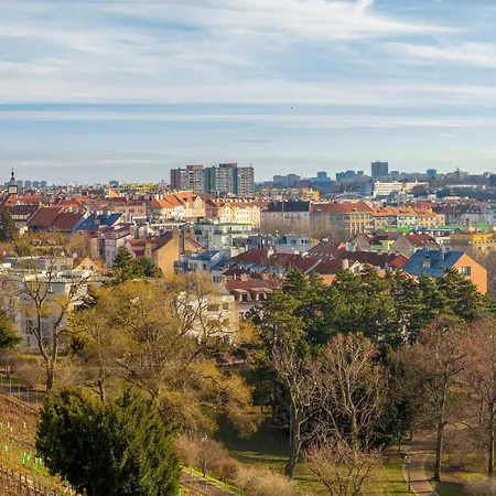 Sunny Grebovka